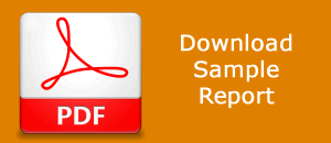 sample sales planning report